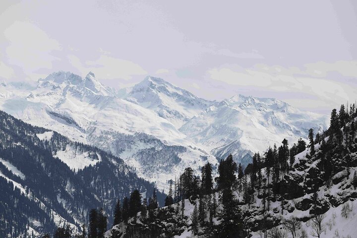 Full day Manali –Atal Tunnel & Solang Valley Excursion - Stays