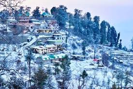 6 Nights / 7 Days – Shimla & Manali Delight (Ex-Chandigarh) - Activity & Sightseeing