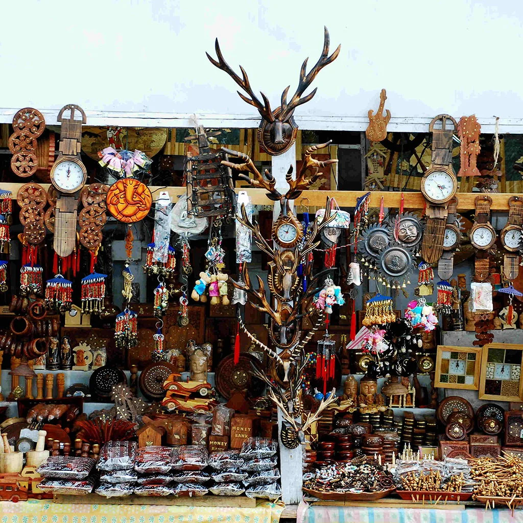 Full-Day Excursion: Kufri – Fagu – Naldehra - Stays