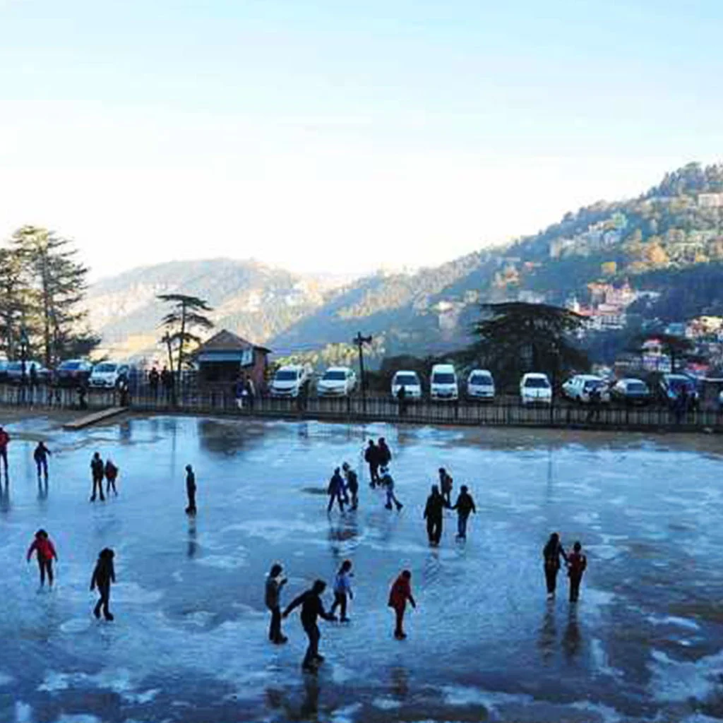 Full-Day Excursion: Kufri – Fagu – Naldehra - Activity & Sightseeing
